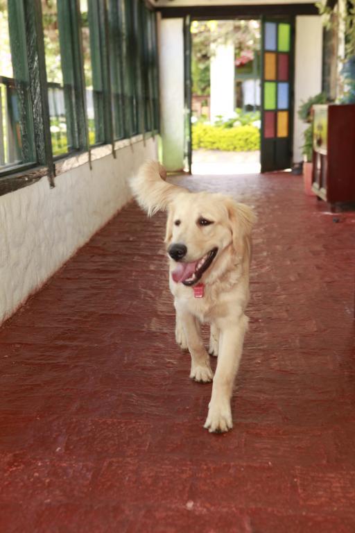 Casa San Nicolas Villa de Leyva Ngoại thất bức ảnh
