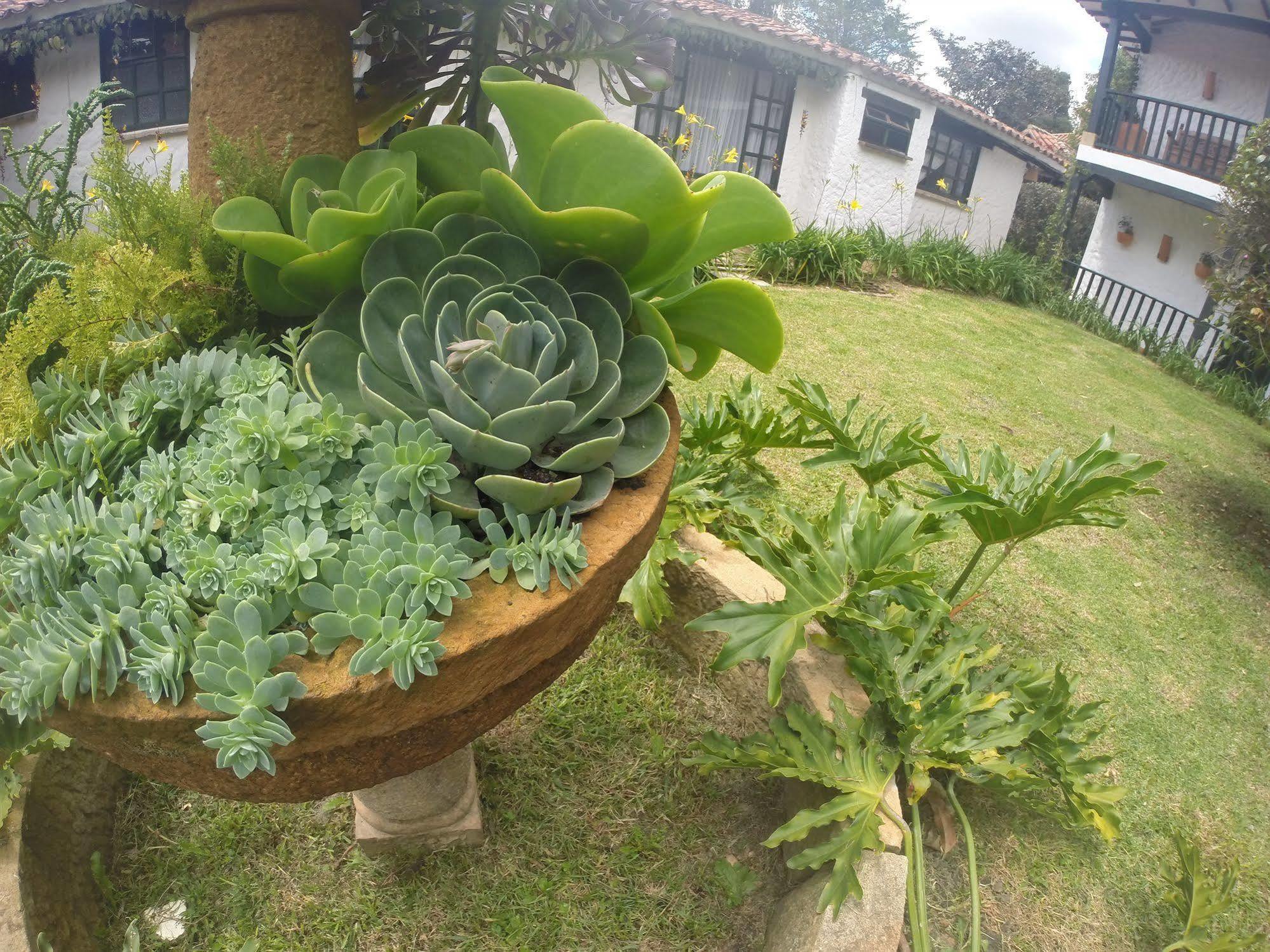Casa San Nicolas Villa de Leyva Ngoại thất bức ảnh