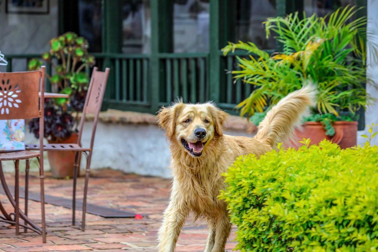 Casa San Nicolas Villa de Leyva Ngoại thất bức ảnh